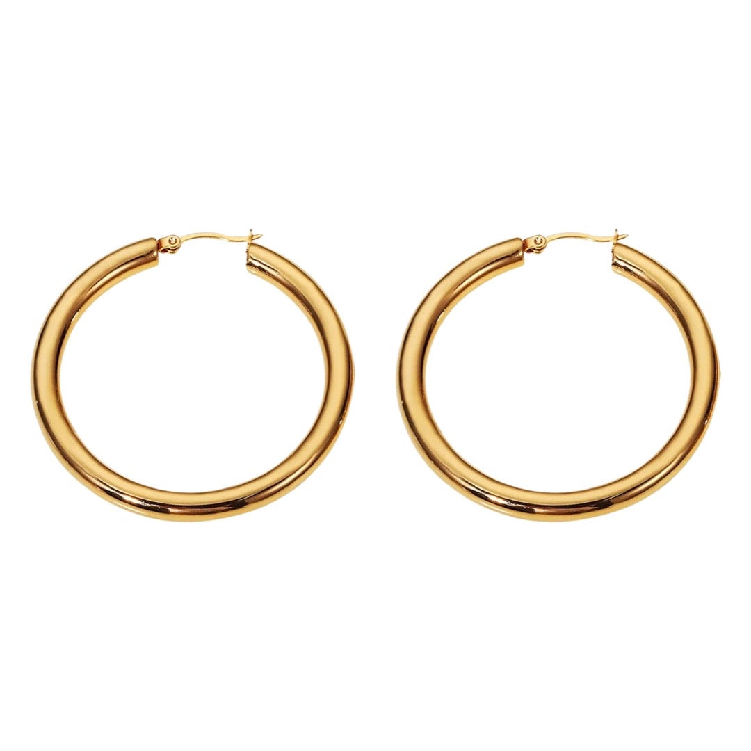 Celine Earrings
