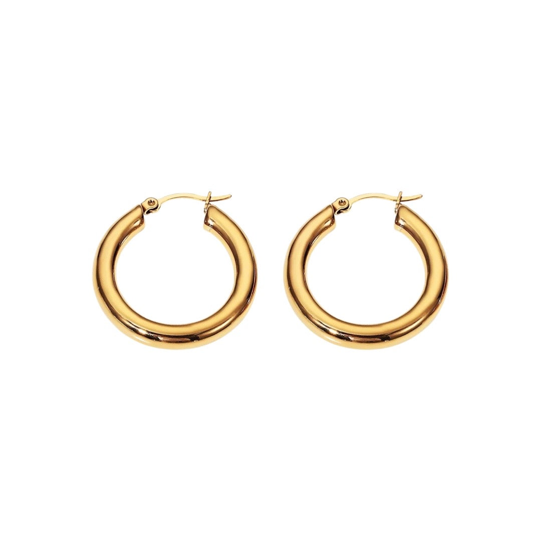 Celine Earrings