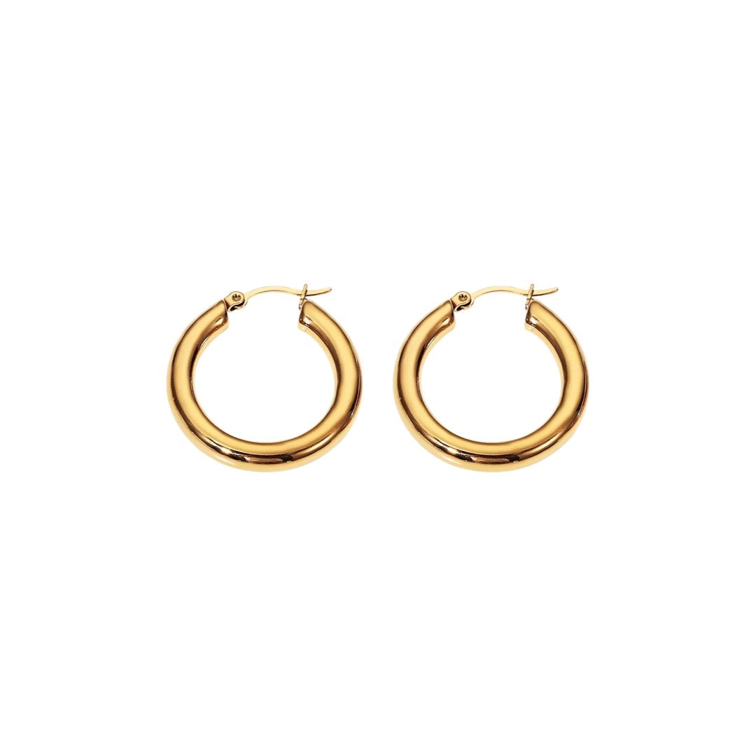 Celine Earrings